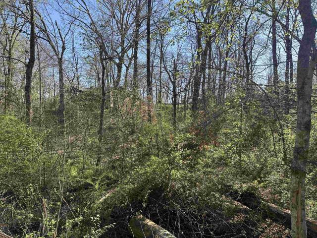 Land for sale in Tennessee