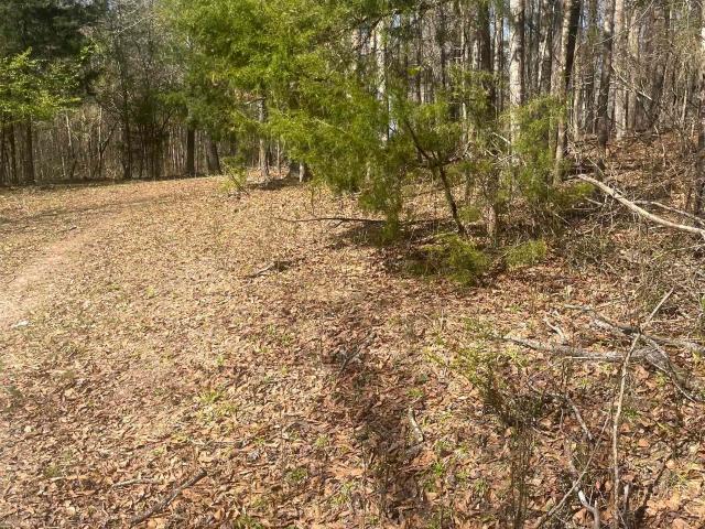 Land for sale in West Blocton, Alabama
