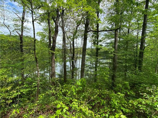 Land for sale in South Carolina