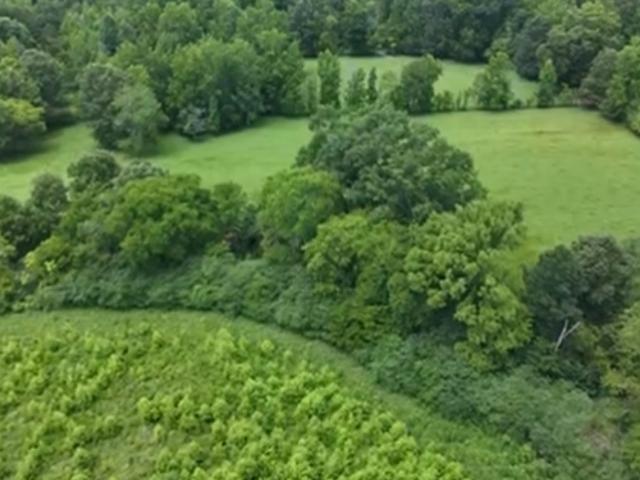 Land for sale in Everett Springs, Calhoun