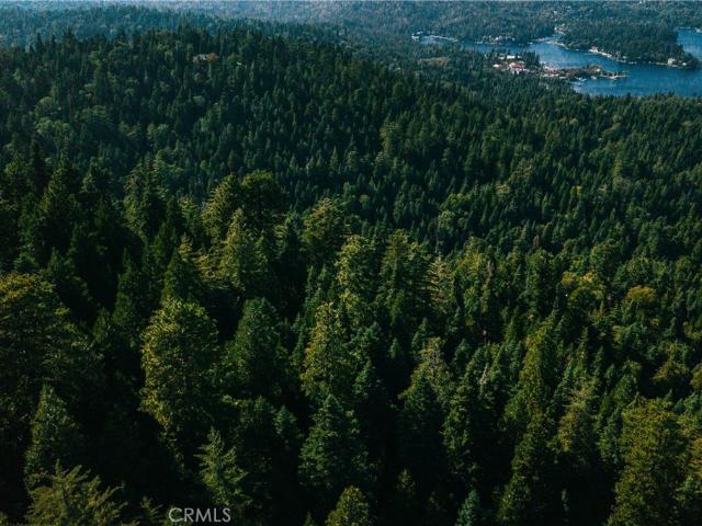 Land for sale in Skyforest, Lake Arrowhead