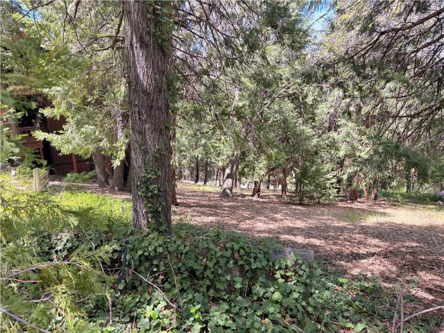 Land for sale in Cedar Glen, California