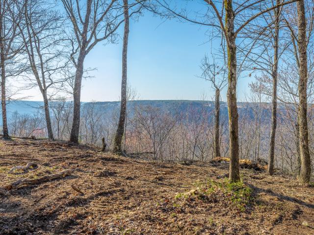 Land for sale in Tennessee
