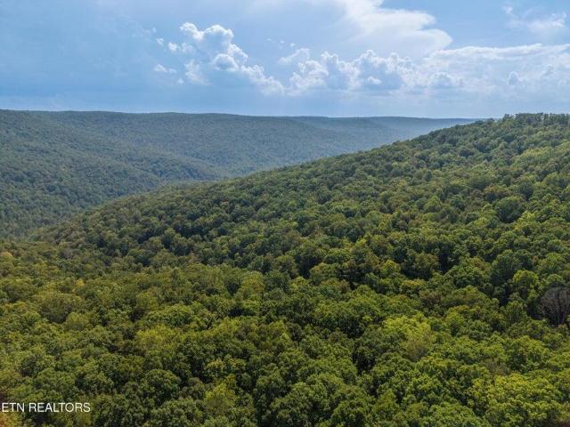 Land for sale in Monterey, Middle Tennessee