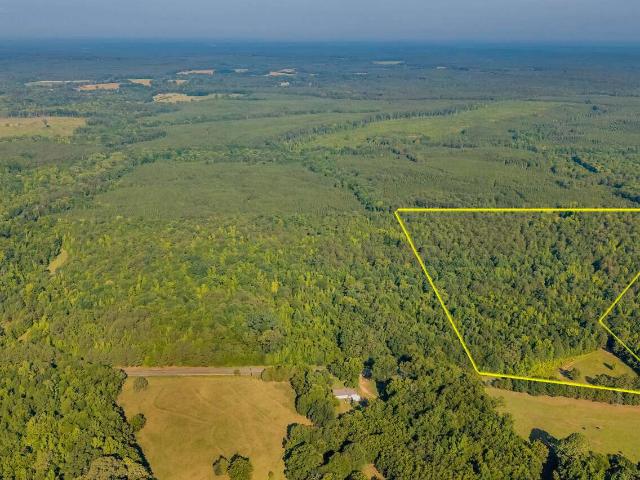 Land for sale in Greensboro, Georgia