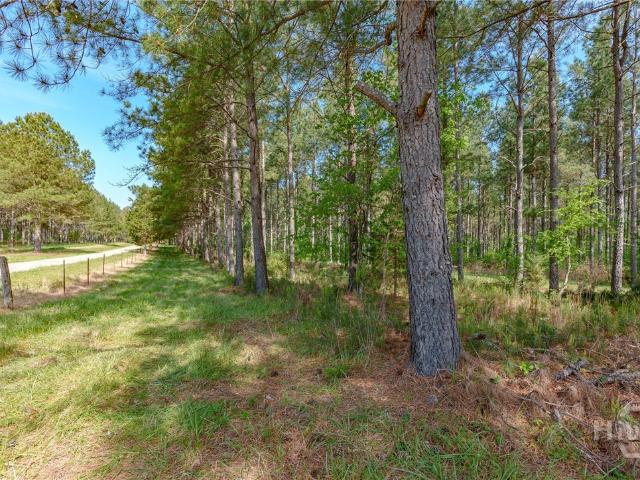 Land for sale in Carlton, Georgia