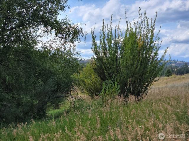 Land for sale in Republic, Washington