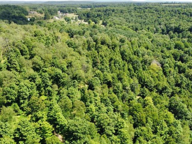 Land for sale in Clearfield, Pennsylvania