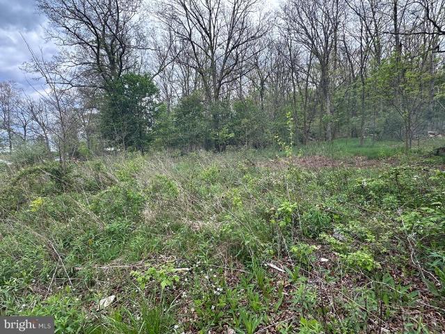 Land for sale in Keyser, West Virginia
