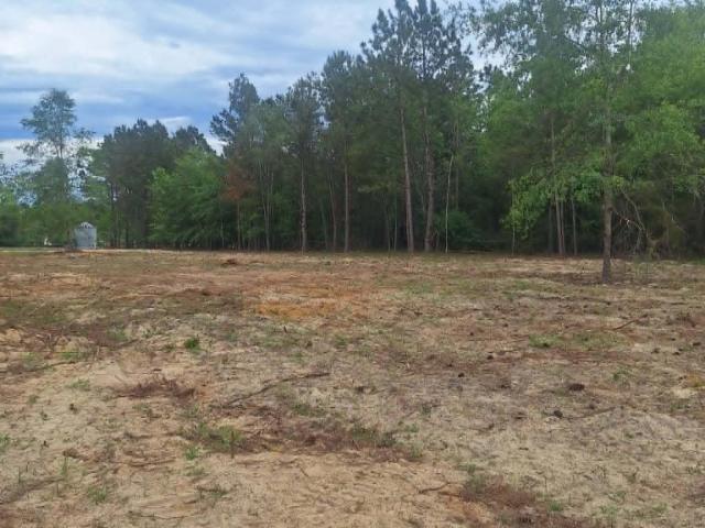 Land for sale in Lyons, Georgia