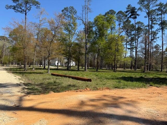 Land for sale in Mandeville, Louisiana
