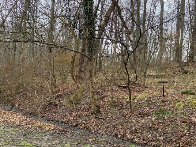 Land for sale in Wellston, Ohio