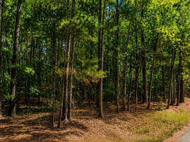 Land for sale in Alabama