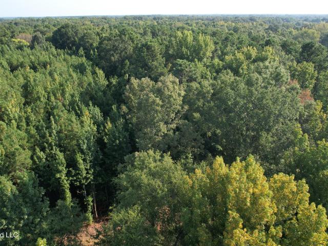 Land for sale in Canton, Mississippi