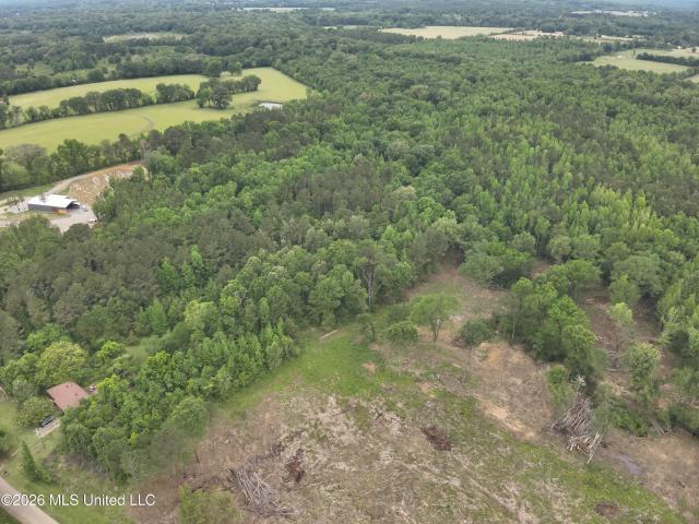 Land for sale in Canton, Mississippi