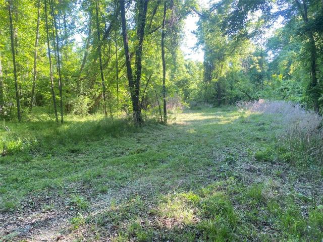 Land for sale in Rayle, Georgia