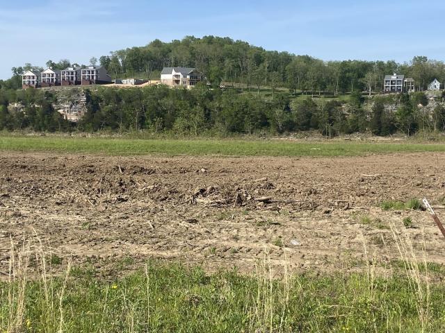 Land for sale in Clifton, West Tennessee