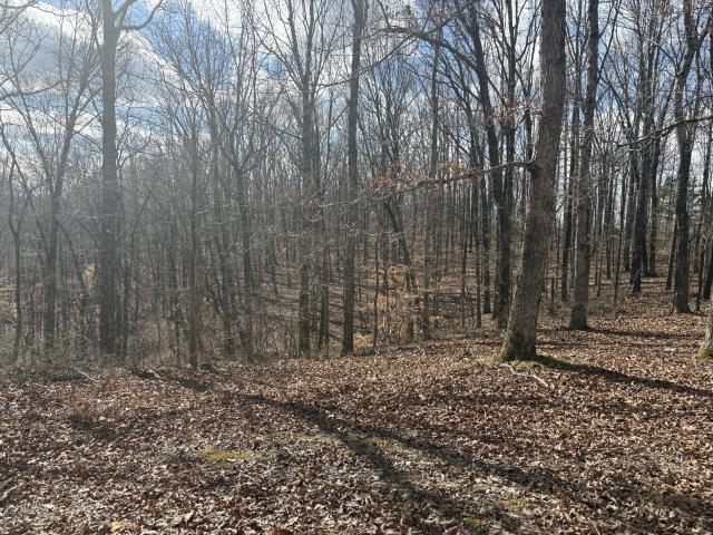 Land for sale in Tennessee