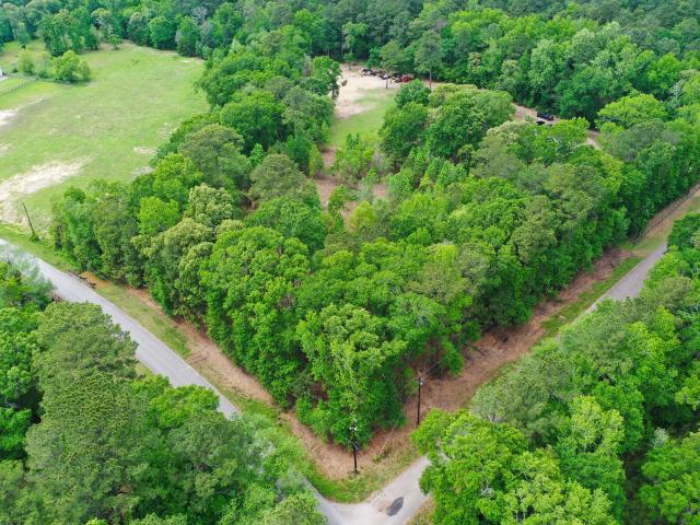 Land for sale in Magnolia, Texas