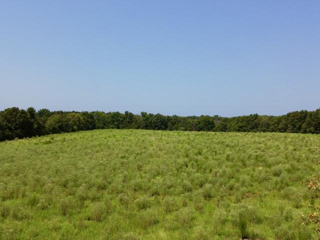 Farm for sale in Tennessee