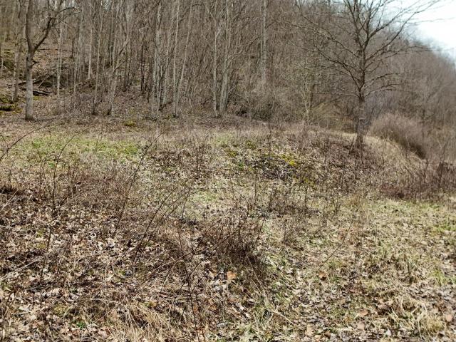 Land for sale in Manchester, Kentucky