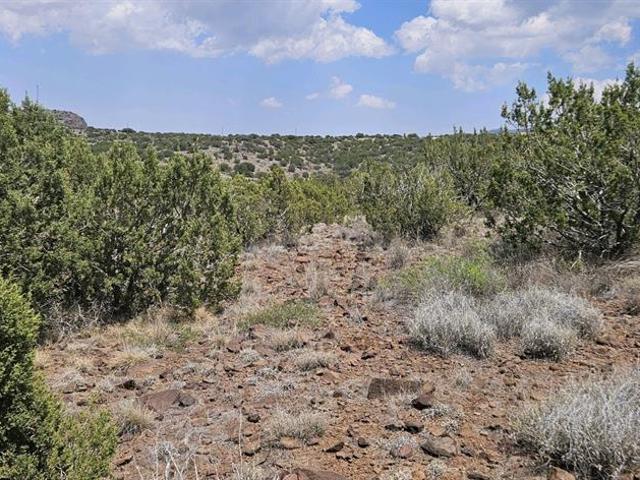 Land for sale in Brewster, Texas