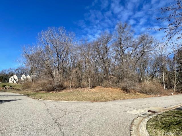 Land for sale in Romeo, Michigan