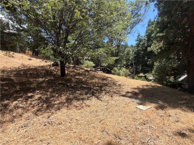Land for sale in Cedarpines Park, California