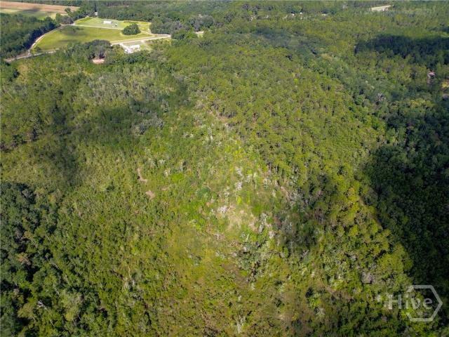Land for sale in Allenhurst, Georgia