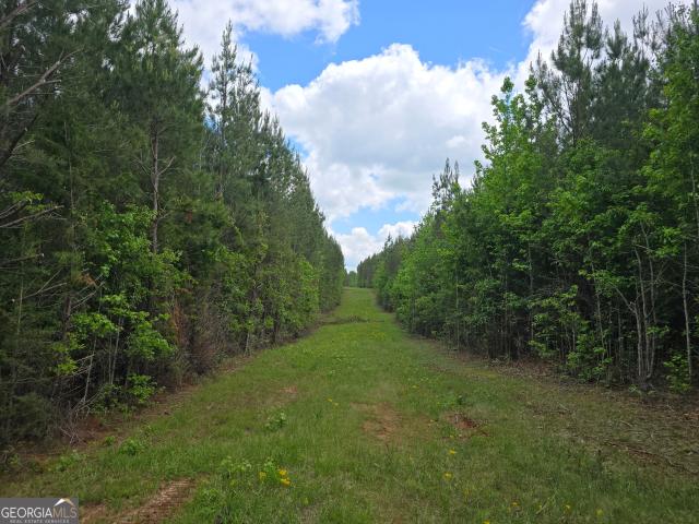 Land for sale in Upson, Georgia