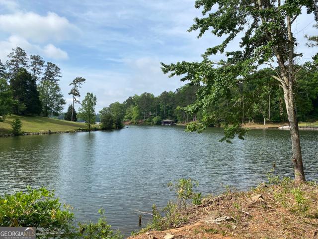 Land for sale in Hamilton, Georgia