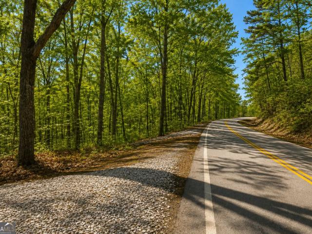 Land for sale in Eastanollee, Stephens County