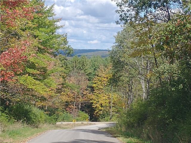 Land for sale in Spencer, New York