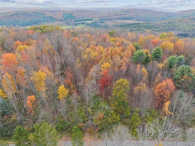 Land for sale in Spencer, New York