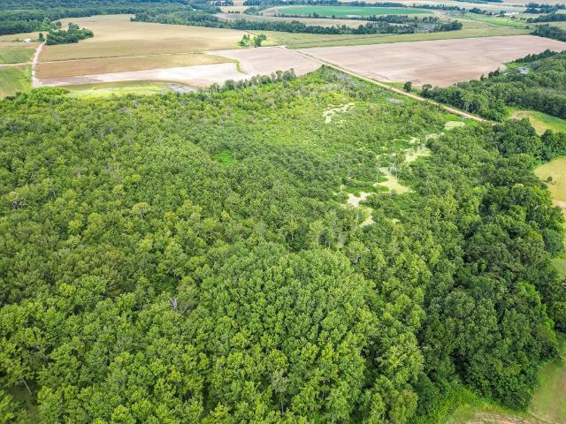 Land for sale in Tchula, Mississippi