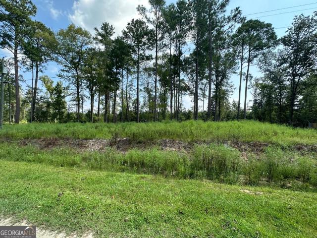 Land for sale in Uvalda, Georgia