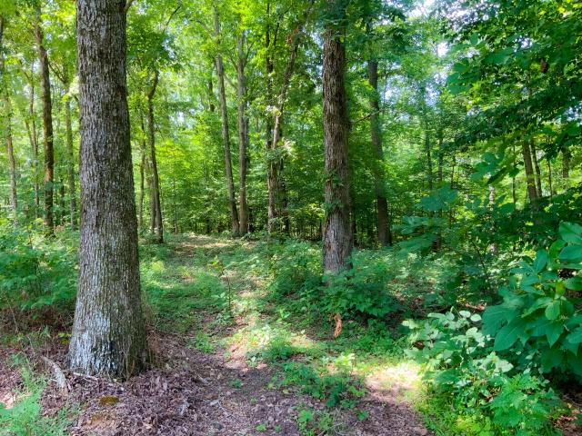 Land for sale in Tennessee