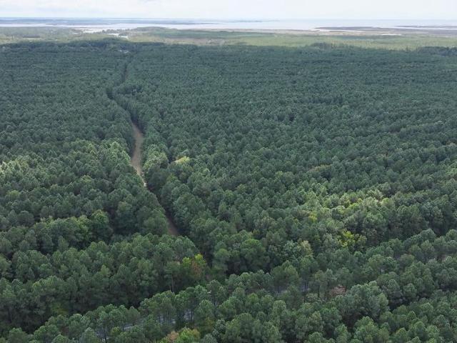 Land for sale in Princess Anne, Maryland