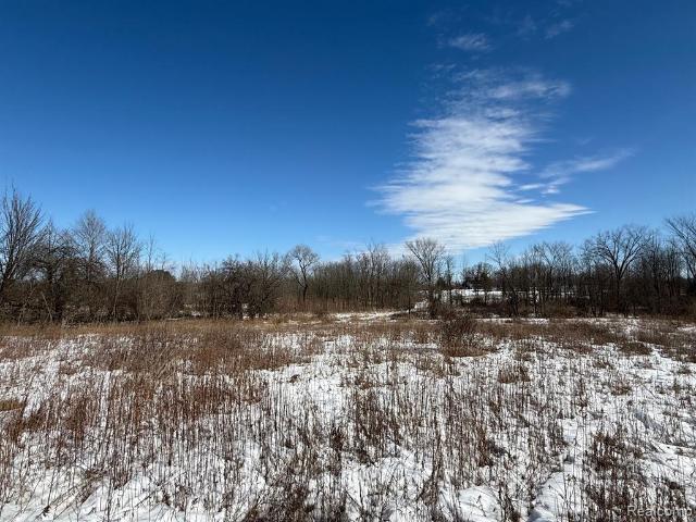 Land for sale in Brown City