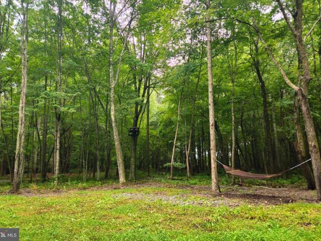 Land for sale in Maryland