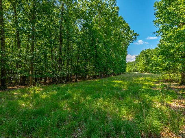 Land for sale in Tennessee