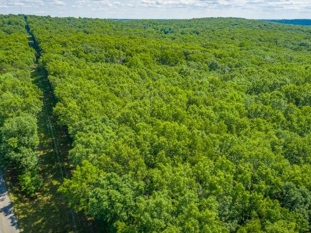 Land for sale in Tennessee