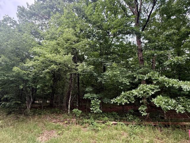 Land for sale in Tennessee