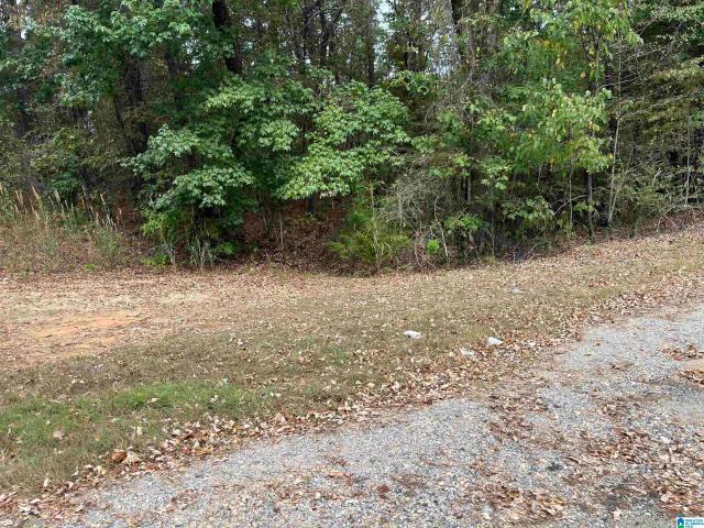 Land for sale in Abernant, Alabama