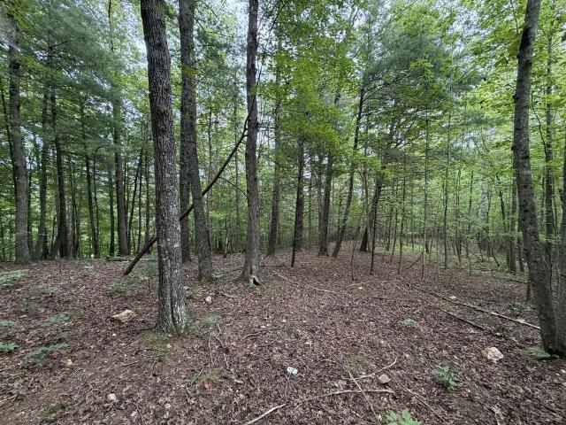 Land for sale in Virginia
