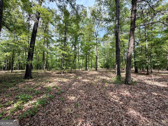 Land for sale in Dublin, Georgia