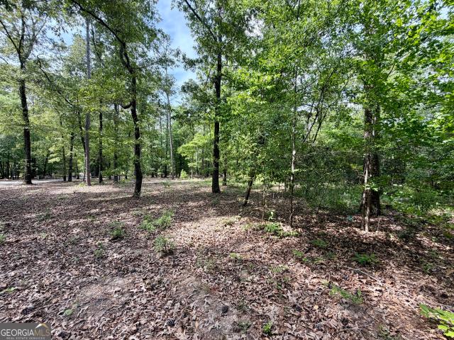 Land for sale in Dublin, Georgia