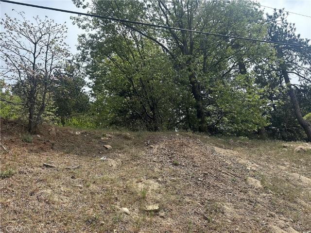 Land for sale in Green Valley Lake, California
