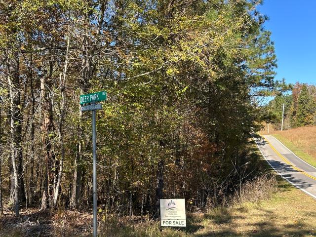 Land for sale in Sparta, Georgia