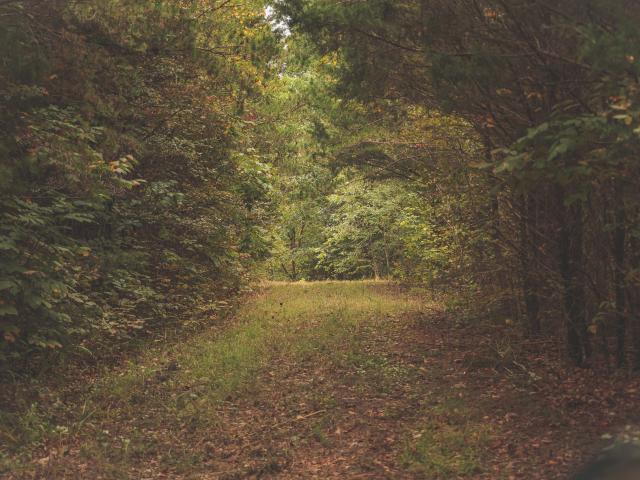 Land for sale in Charleston, East Tennessee